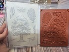 Stampin  Up  Autumn Trees Stamp Set   Dies   Autumn Toile Designer Series Paper