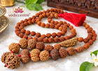 Rudraksha Siddha Mala 1 Mukhi To 14 Mukhi Rudraksha Java Origin Lab Certified