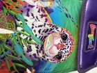 Vintage Lisa Frank Rainbow Reef Skeeter Seal Lunchbox