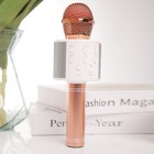 Wireless Karaoke Bluetooth Handheld Microphone Speaker Party Ktv Player Mic Gift