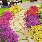 12pcs Artificial Daisy   Eucalyptus Floral Bouquet - Wedding  Home  Party Decor