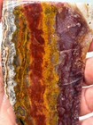 Mexican Red Moss Agate End Cut Slab Lapidary Cabbing Combo Ship Avail
