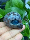 1pc Natural Yooperlite Quartz Carved Alien Skull Crystal Reiki Healing Gem Gift