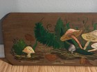 Vtg 70s Handcrafted Mushrooms Painted On Board Bohemian Wall Hanging Shrooms