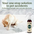Pawfume Stain   Pet Urine Odor Eliminator  1-pack 4 Fl Oz  pack Of 1   Green 