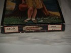 Vintage Box Arrowhead Hosiery Full Fashion Native American Woman Graphic