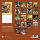 Woodland Creatures Wall Calendar   Animal Calendar 18 Month   12  X 24  Open   G