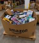 Amazon Liquidation Merchandise Mixed Consumer Goods Lot