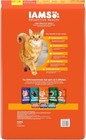 Iams Proactive Health Adult Healthy Dry Cat Food With Chicken  22 Lb  Bag
