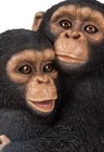 Home Decor Display Wildlife Animal Chimpanzees Hugging Garden Statue