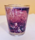 Carlsbad Caverns Shot Glass Souvenir Novelty Glass Photo Free Shipping