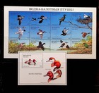 Belarus Sc 173-6 Nh 2minisheets 2s s Of 1996 -  oj25 