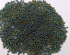 Vintage Antique Czech Glass Seed Beads Metallic Dark Green Iris Ab 11 0 C11-35