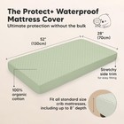 Waterproof Crib Mattress Protector Cover Fitted - 52  X 28   Soft Fern quin 