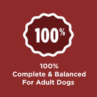  2 Pack  Purina Dog Chow  Dry Dog Food For Adult Dogs  Kibble Beef Flavor  44lb