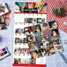 2026 Calendar - Funny Cat 2026  12  X 24   open   Jan 2026 X 