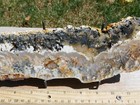 Tcr North Ridge Plume Agate jasper lapidary Polished Slab 291 Grams