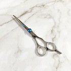 Authentic Japanese 6 Inch Hair Cutting Scissors Barber Shears New