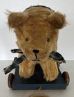 Antique Original Steiff Mohair Bear On Wooden Wheels Pull Toy 11    Long C 1910