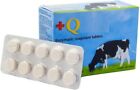 Pastillas Cuajo Para Hacer Queso Fresco Cuajar Queso Casero Cuajar 10 Unidades