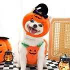 Dog Halloween Christmas Transformation Outfit Funny Cat Two Legged Pet Clothes P