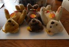 Steiff Teddy Roosevelt Ltd  1983 Set Rare Colors