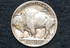 1916 P Buffalo Nickel   Xf   Full Date   Nearly Full Horn   Free Shipping
