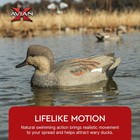 Avian X Power Swimmer Gadwall Drake Motion Duck Decoy With 10  Hour Battery