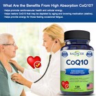 Coenzyme Q10 400mg Supplement Promote Heart Cardiovascular Wellness 120 Capsules