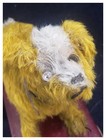 Antique 1920 s Electric Eye Mohair Dog Pull Toy