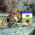 Kong Premium Catnip  2 Oz 