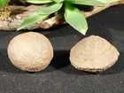Moqui Marble Or Shaman Stone Pair 100  Natural Utah 75 0gr