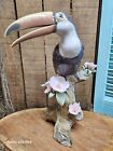 Lladro Toucan Bird In Org Box Retired Mint Vintage