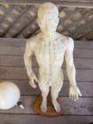 Vintage Good Health Brand Chinese Acupuncture Model 20    Wood Base Rare 1980s