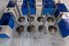 Intake Valves  Set Of 8  1969 70 Ford Boss 429  Mustang  Cougar  Nos