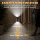 Tsexes Motion Sensor Led Night Light Plugin  5000k Daylight  2pack Set