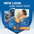  2 Pack  Purina Cat Chow Complete With Real Chicken Dry Cat Food  20 Lb Bag