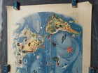 The Fauna And Flora Of The Pacific Plate Ii Hs Crocker Fair