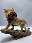 Large African Wildlife Pride Rock Lion Statue 16 w 12 tall