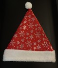 Carnival Cruise Christmas Santa Hat Stocking Cap