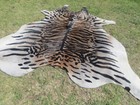 Huge   Tiger Bengal Print Printed Cowhide Rug Natural Cow Hide Skin Beige Zebra