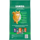  Proactive Health Chicken Dry Cat Food For Senior Cats  7 Lb Bag