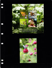  26 00 Scott Value - 2017 Tuvalu Butterflies 2 S s South Pacific Cv Mnh Nh Umm