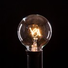Box Of 25 G40 Clear 1 6    5w C7 E12 Base String Light Replacement Bulbs