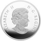 2015  20 Canada 1 Oz  9999 Silver Maple Leaf Reflection Coin In Ogp  Great Find 