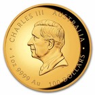 2026 Australia 1 Oz Gold Lunar Horse Proof  hr  Box   Coa 