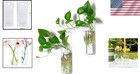 Plant Terrarium Container Propagation Station Square Tube Vase Wall Hanging Glas