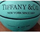 Spalding Size 27 5 Inch Womens High Fashion Collaboration Leather Basketball      