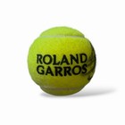 Novak Djokovic Signed Tennis Ball Legend Coa Included 