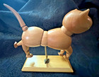 Articulated Wooden Cat kitten Artist Posable Jointed Model Mannequin
